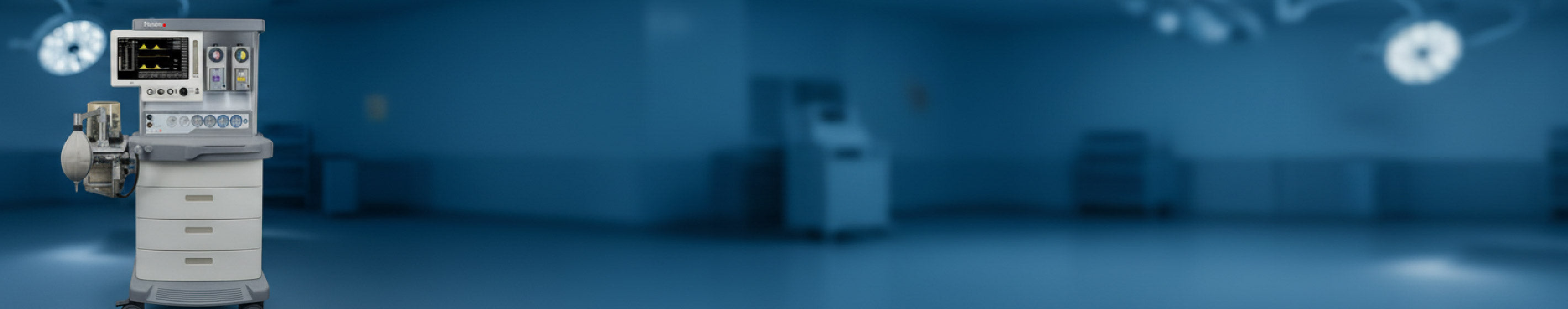 collection-banner-image