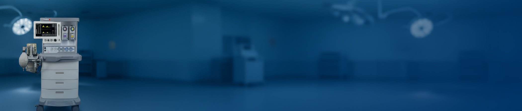 collection-banner-image