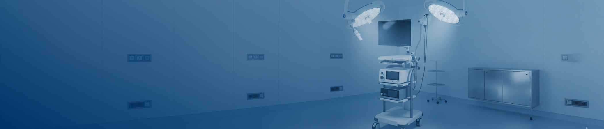 collection-banner-image